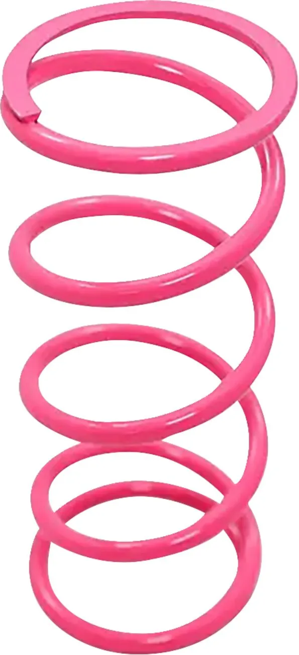 Primary Clutch Spring