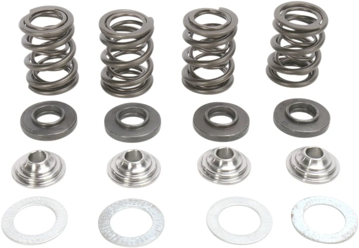 Valve Spring Kit