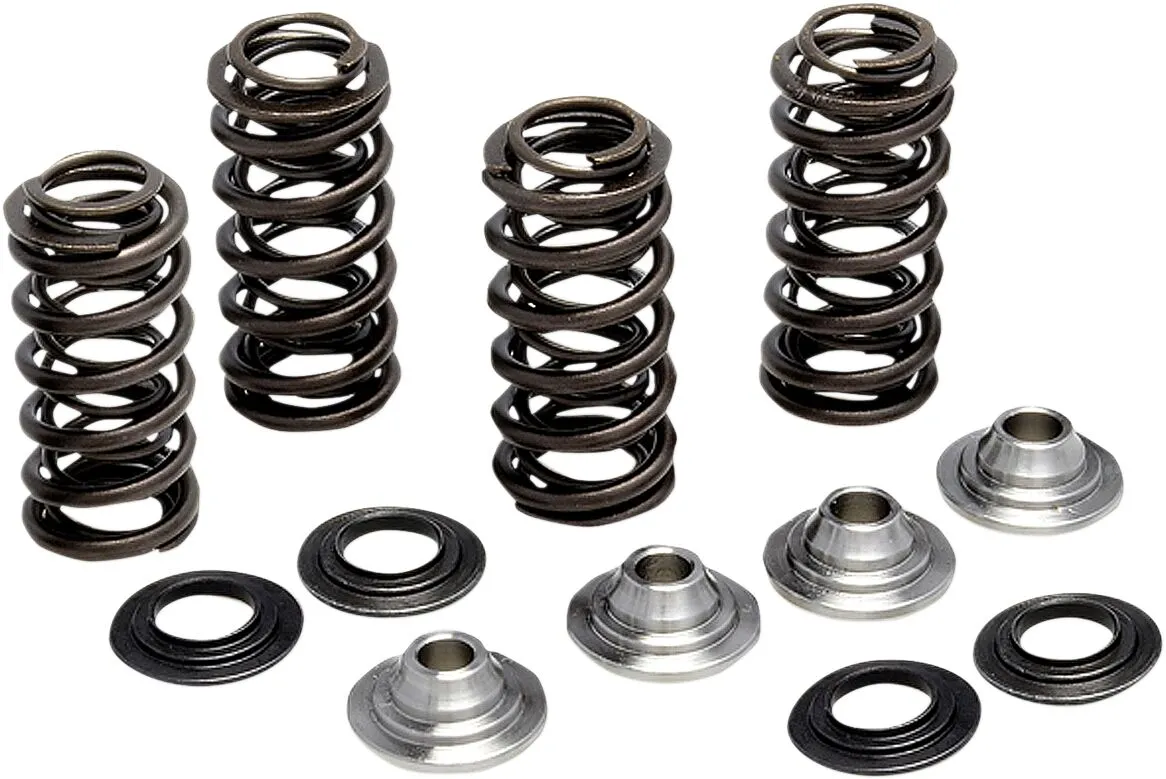 Valve Spring Kit