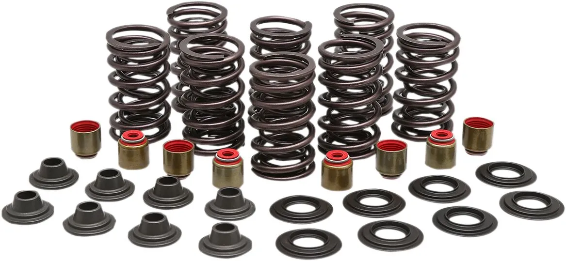 Valve Spring Kit