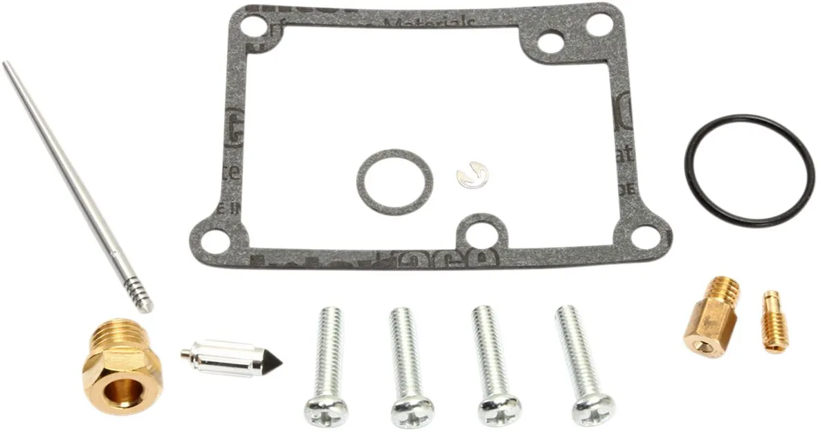 Carburetor Repair Kit