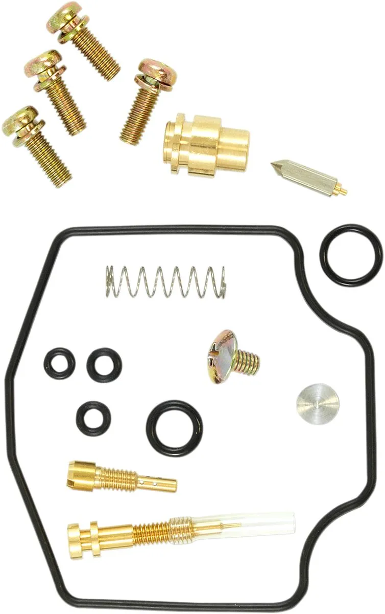 Carburetor Repair Kit