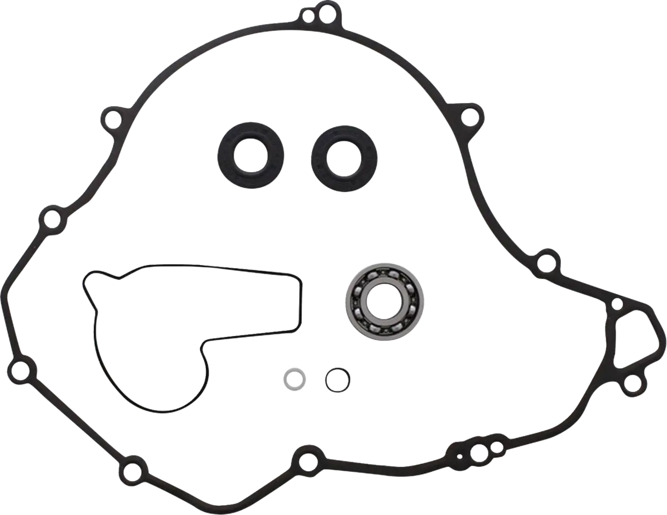 Water Pump Rebuild Kit