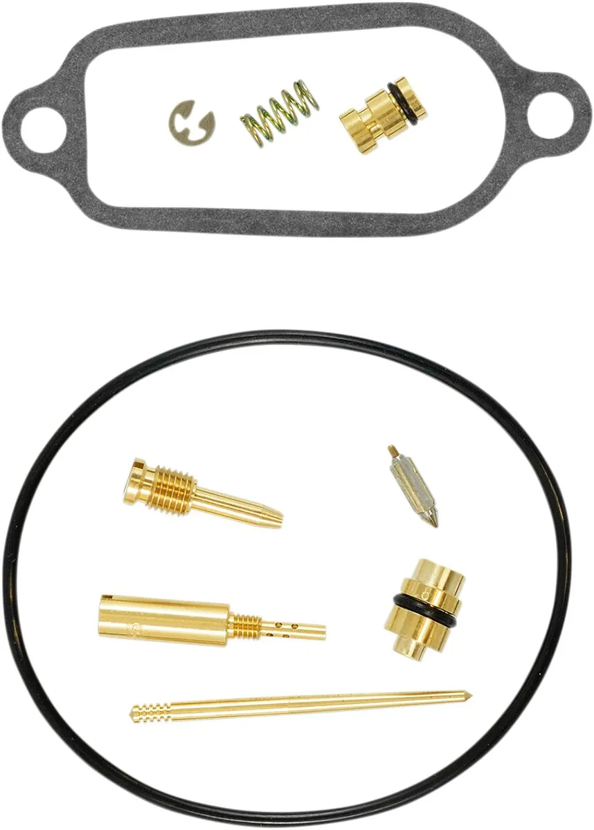 Carburetor Repair Kit