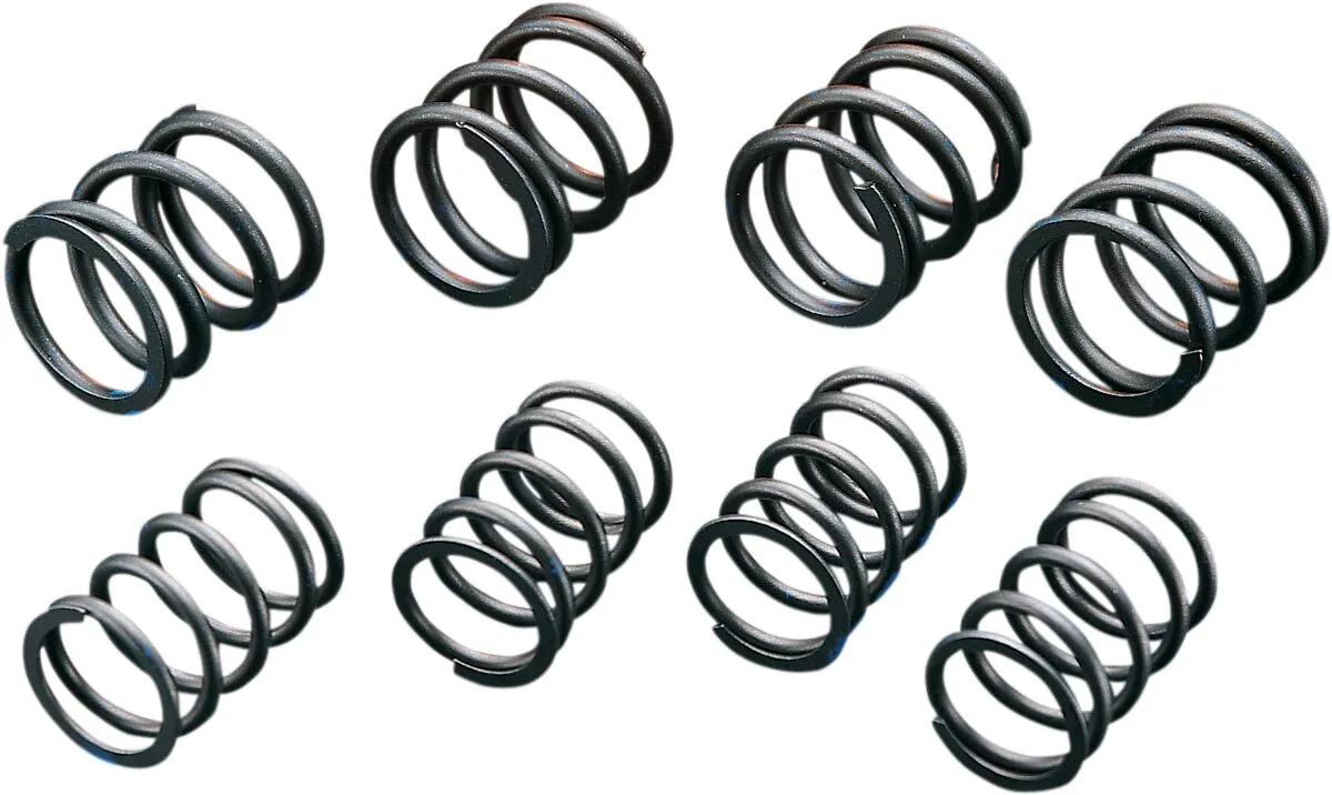 High-Lift Valve Springs