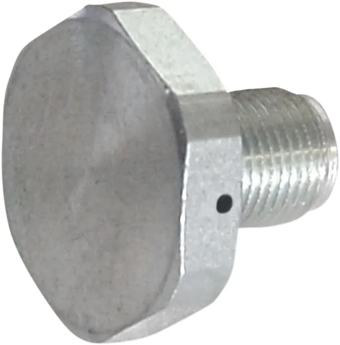 Upper Fork Tube Caps/Bolts