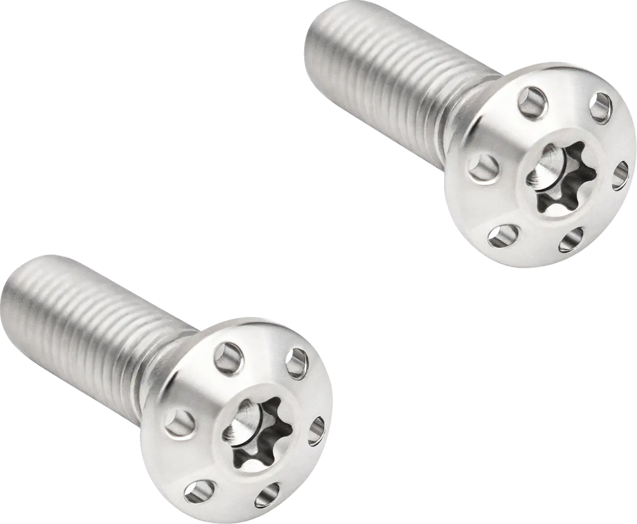 Brake Caliper Mounting Bolts