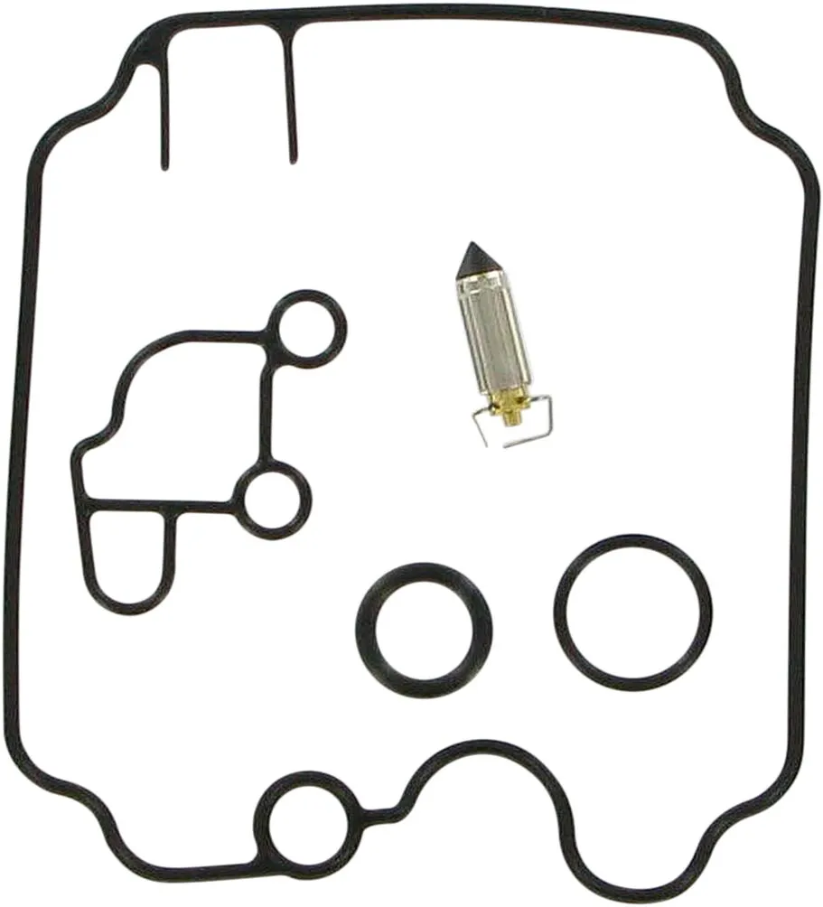 Carburetor Repair Kit