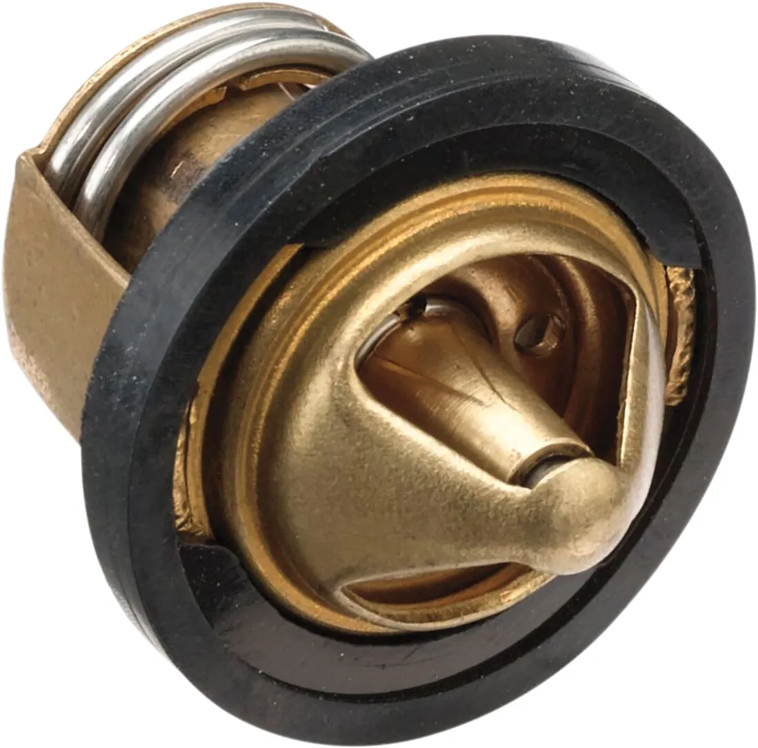 Replacement Thermostat - Polaris