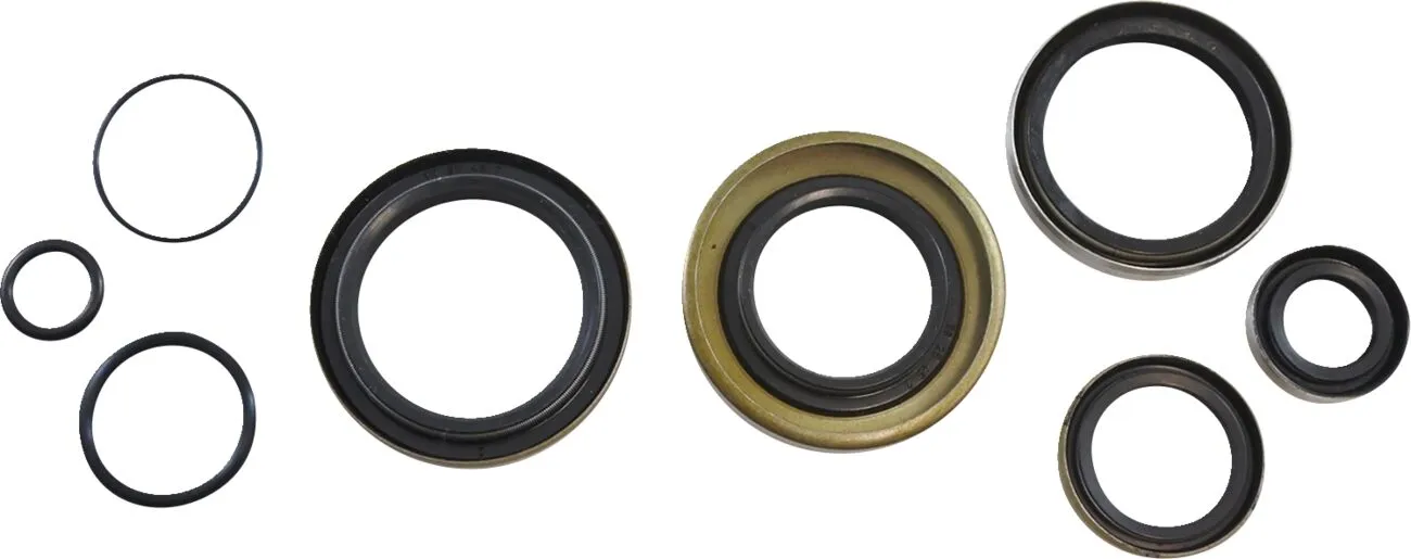 Oil Seal Kit