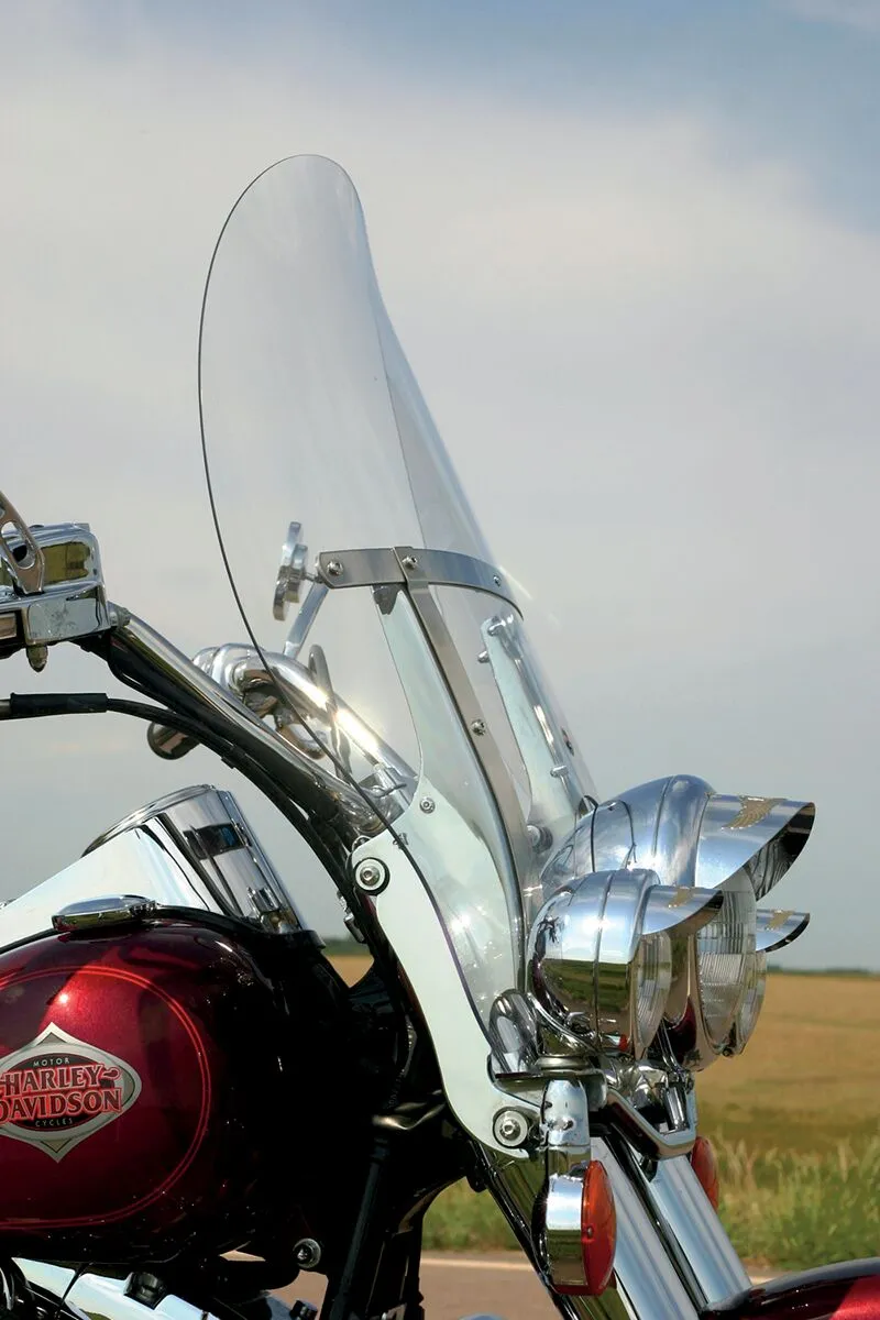 Windshield