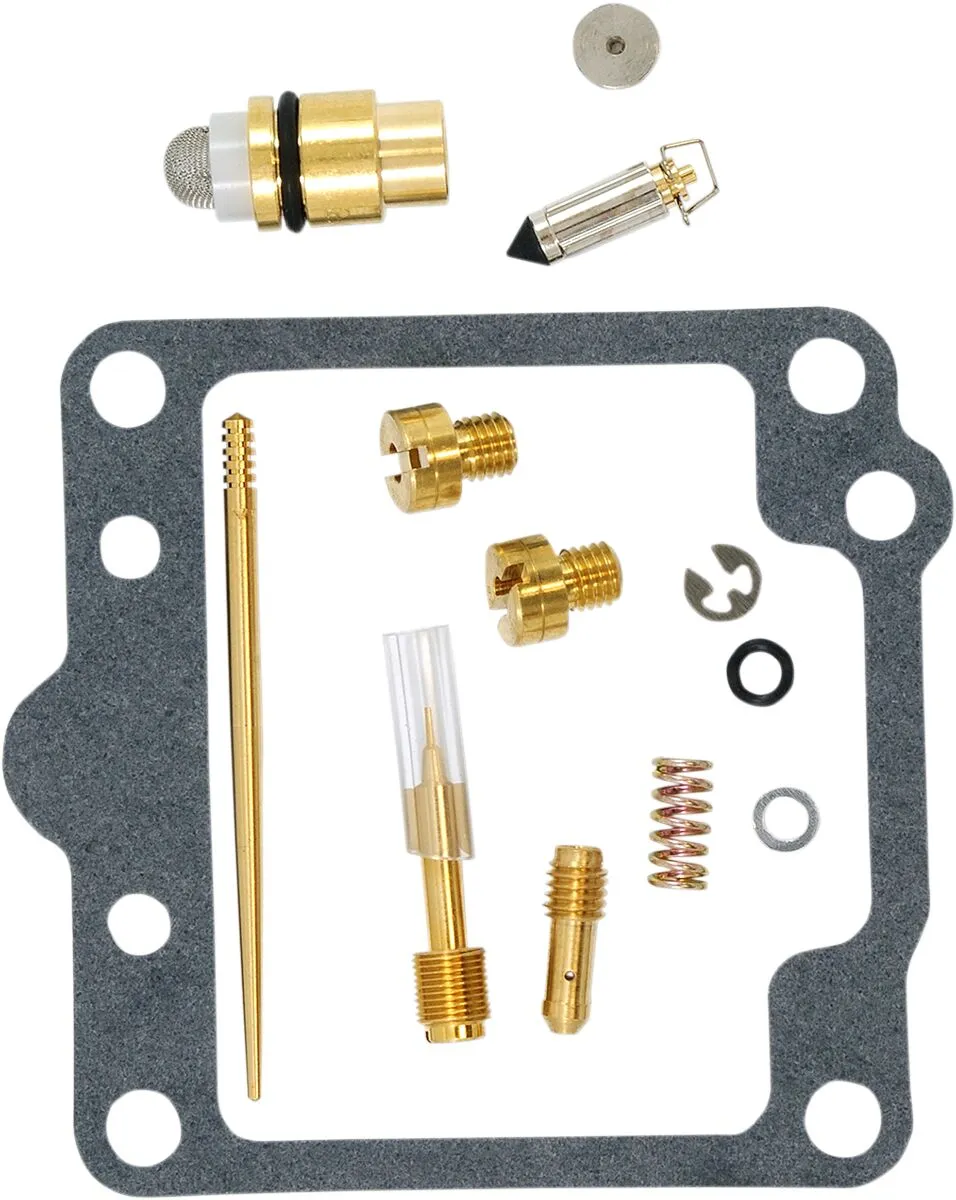Carburetor Repair Kit
