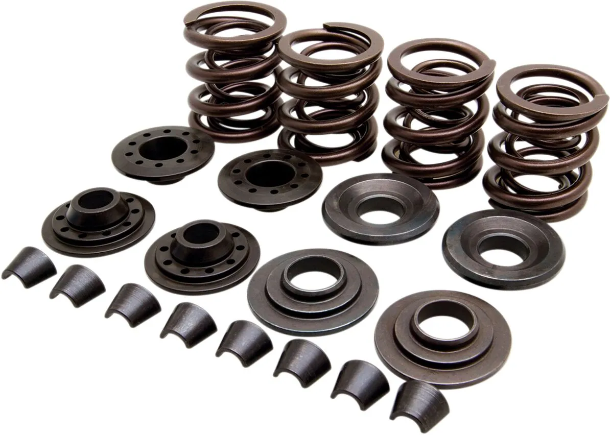 OEM Replacement Valve Spring Kit