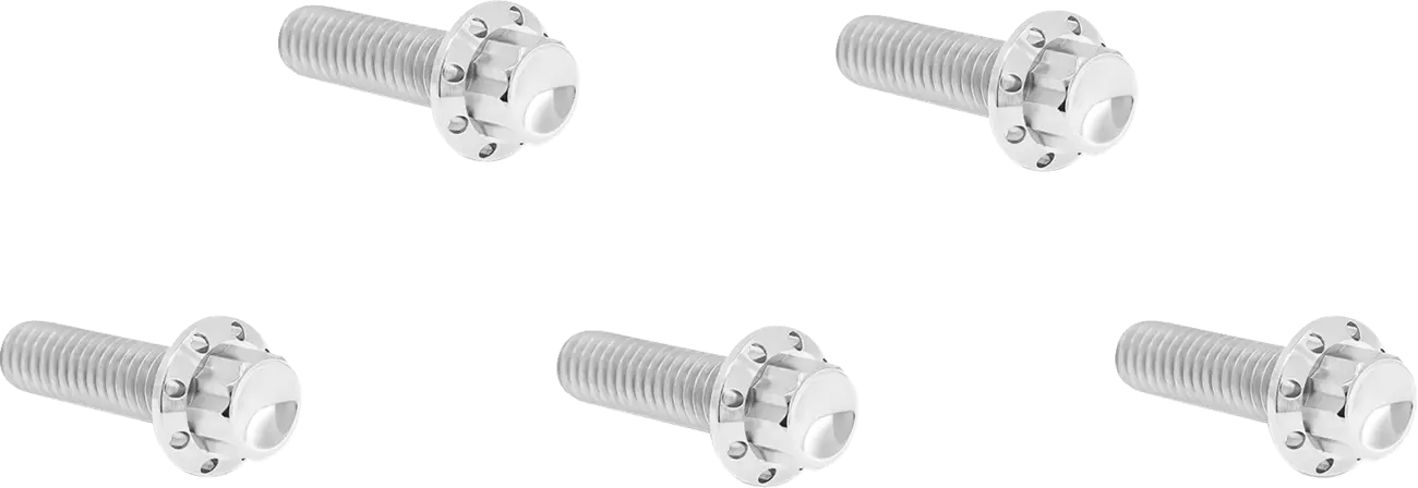 Derby Cover Titanium 12-Point Bolt Kit