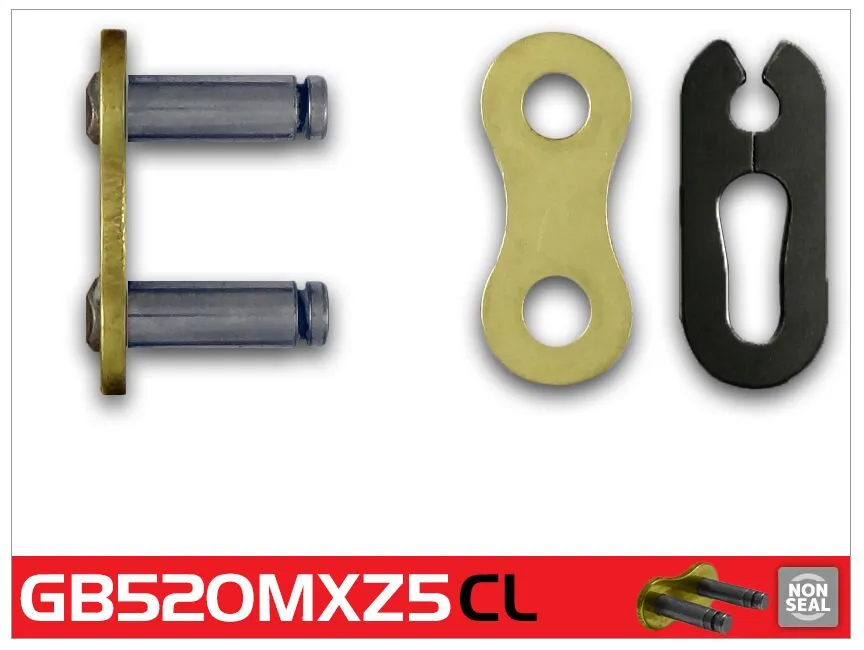 520 MXZ5 Drive Chain
