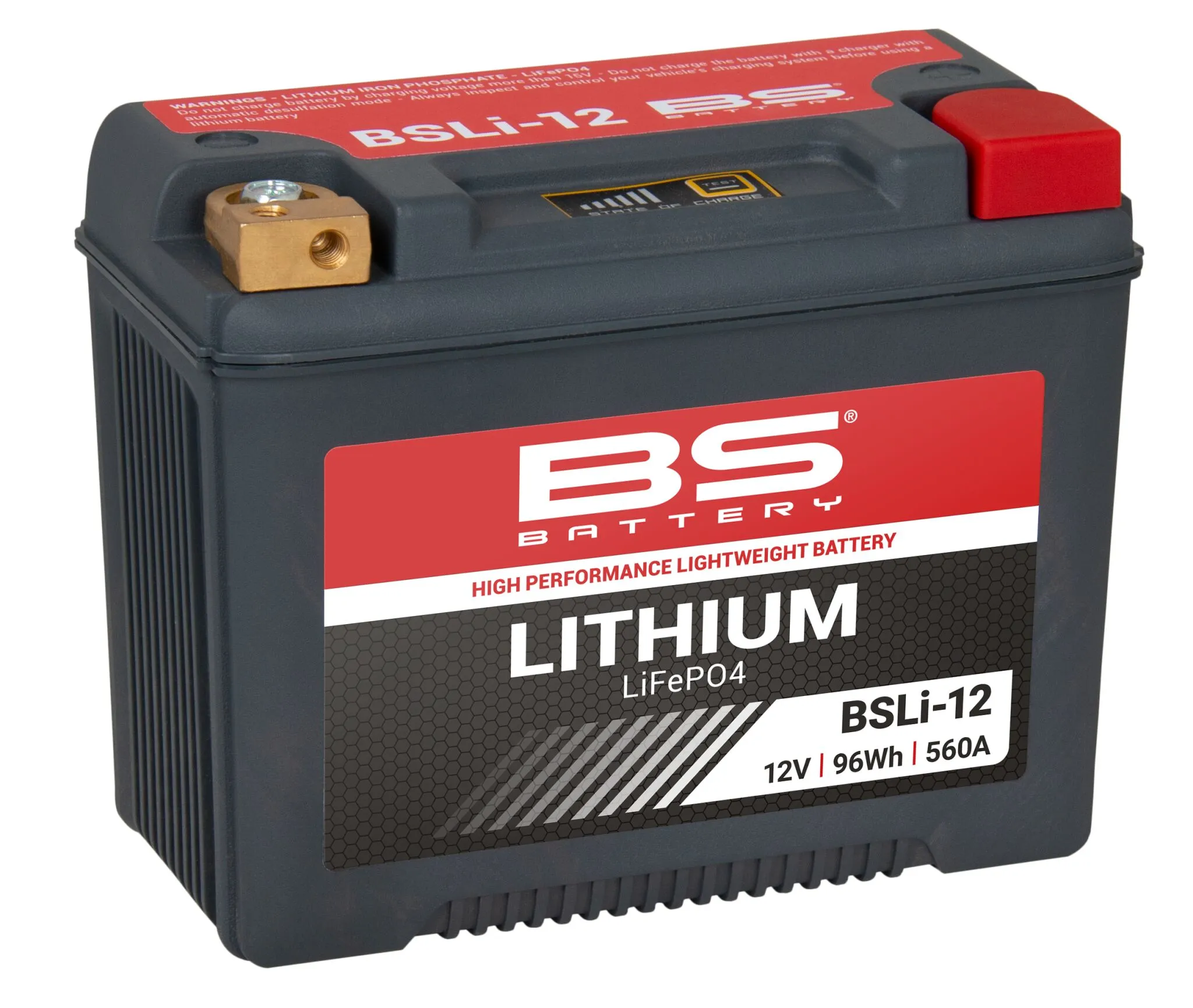 Lithium LiFePO4 Battery