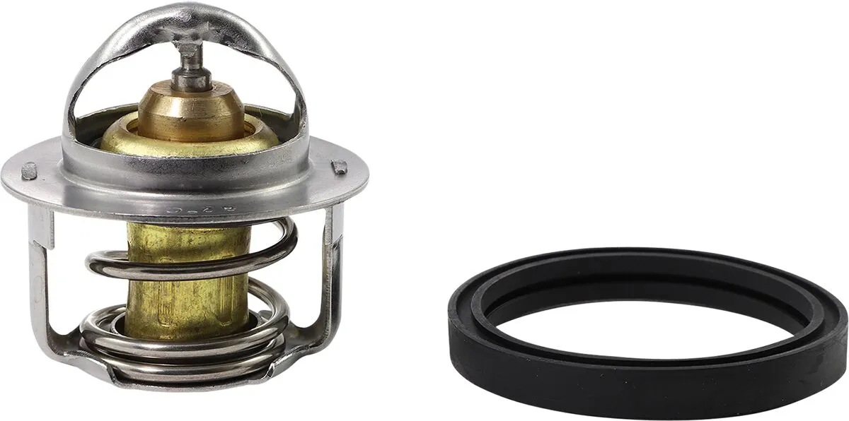 Replacement Thermostat - Polaris