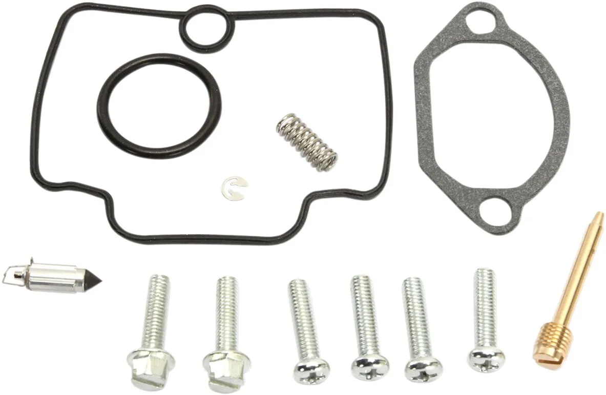 Carburetor Repair Kit