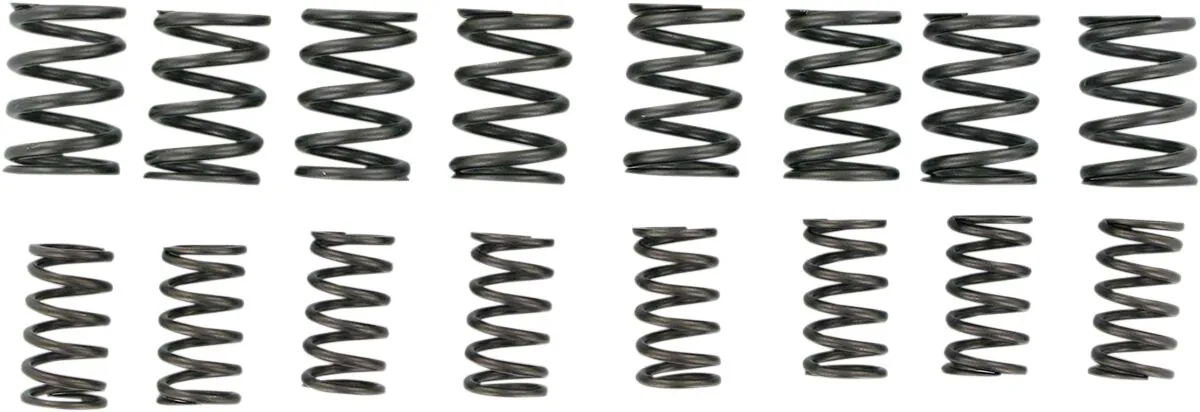 Valve Springs