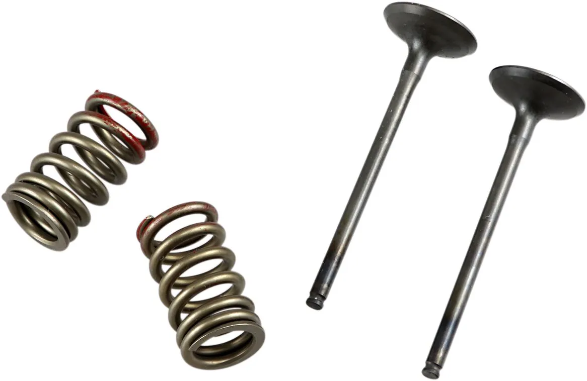 Valve and Spring Kit