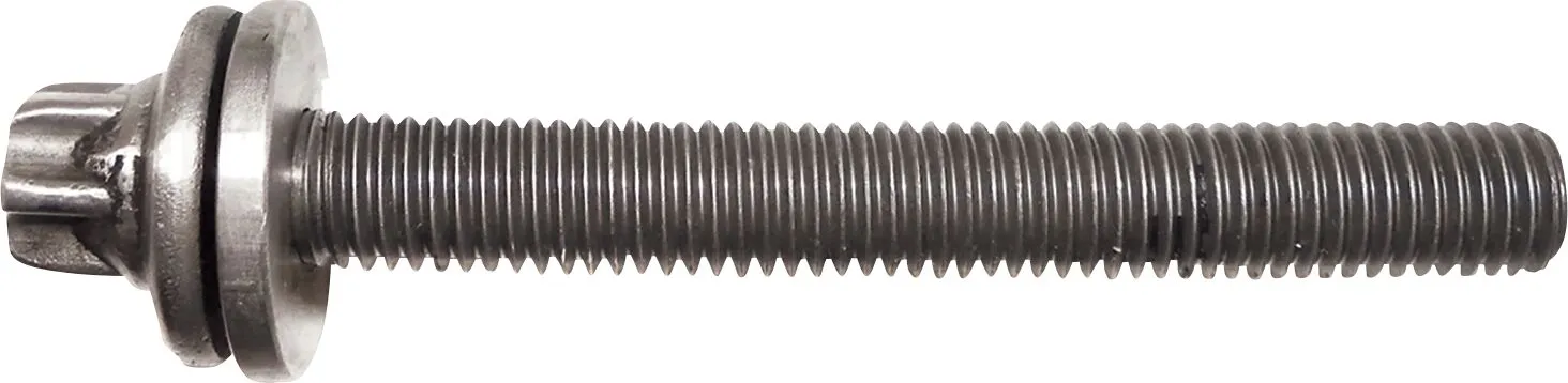 Crankcase Bolt