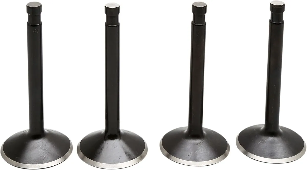 Black Diamond™ Engine Valve Kit