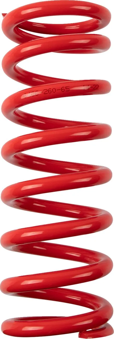 Shock Spring