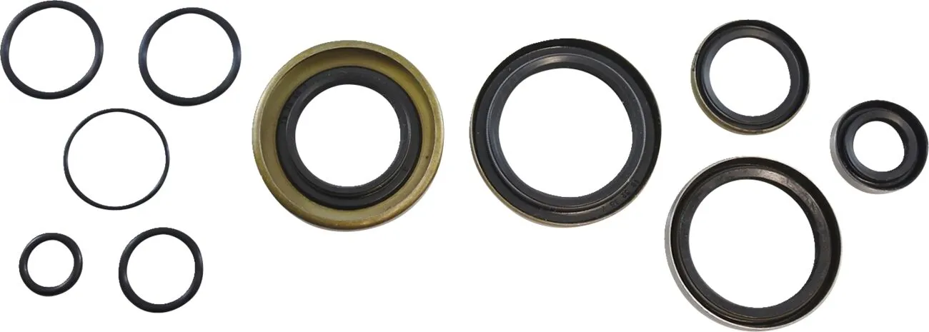 Oil Seal Kit