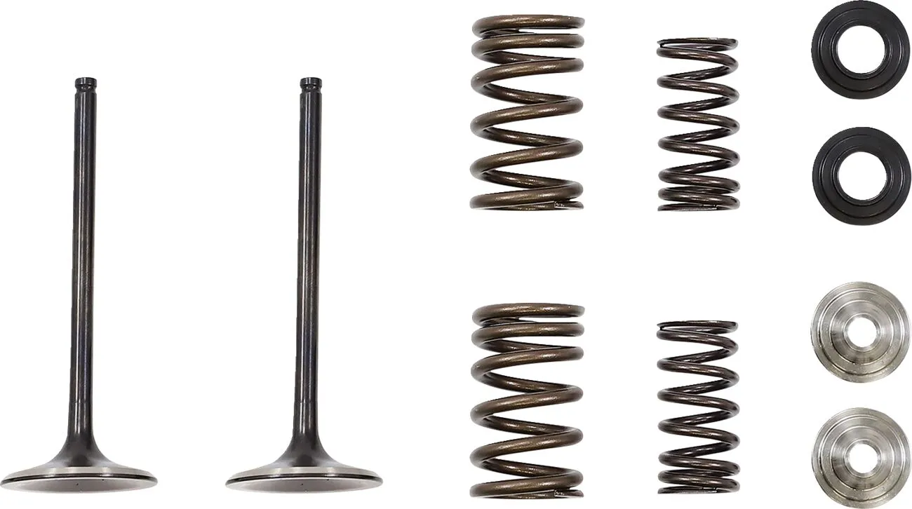 Intake Valve and Spring Kit