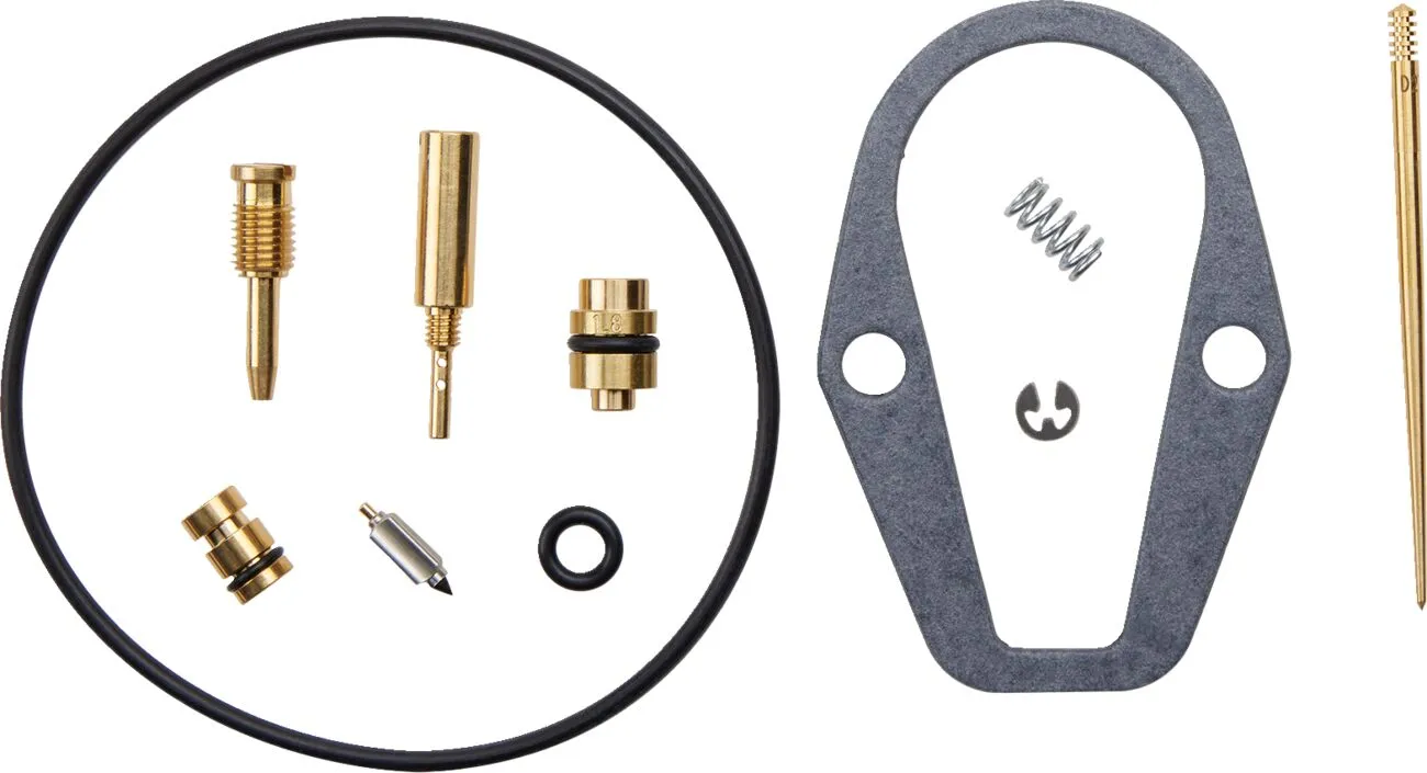 Carburetor Repair Kit