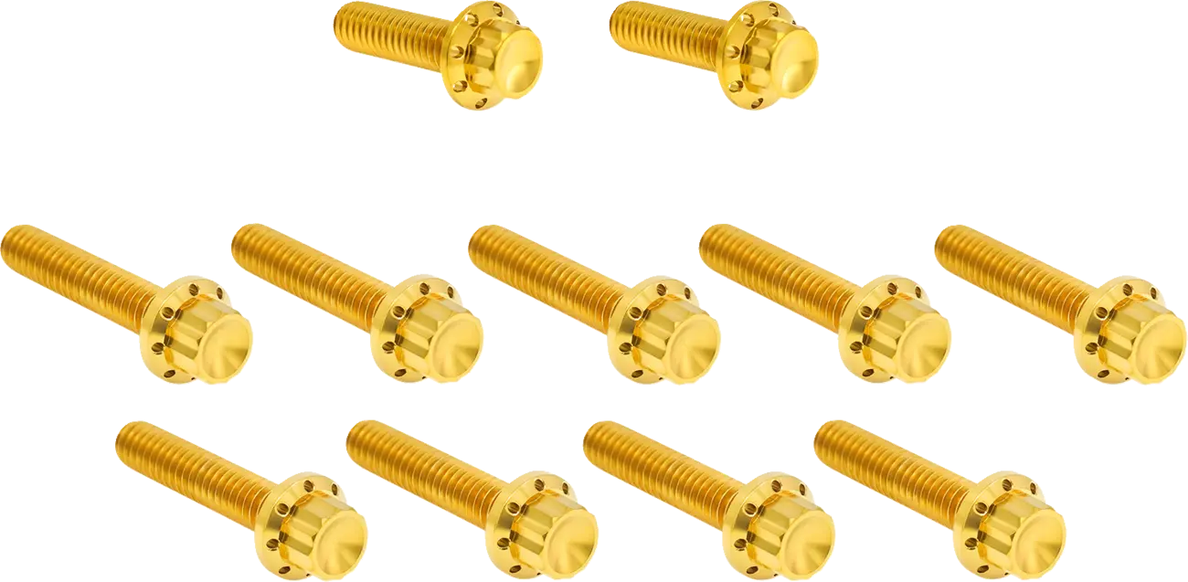 Cam Cover/Point Cover Titanium 12-Point Bolt Kit