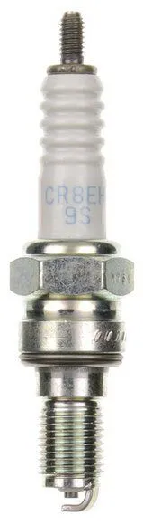 Special Spark Plug