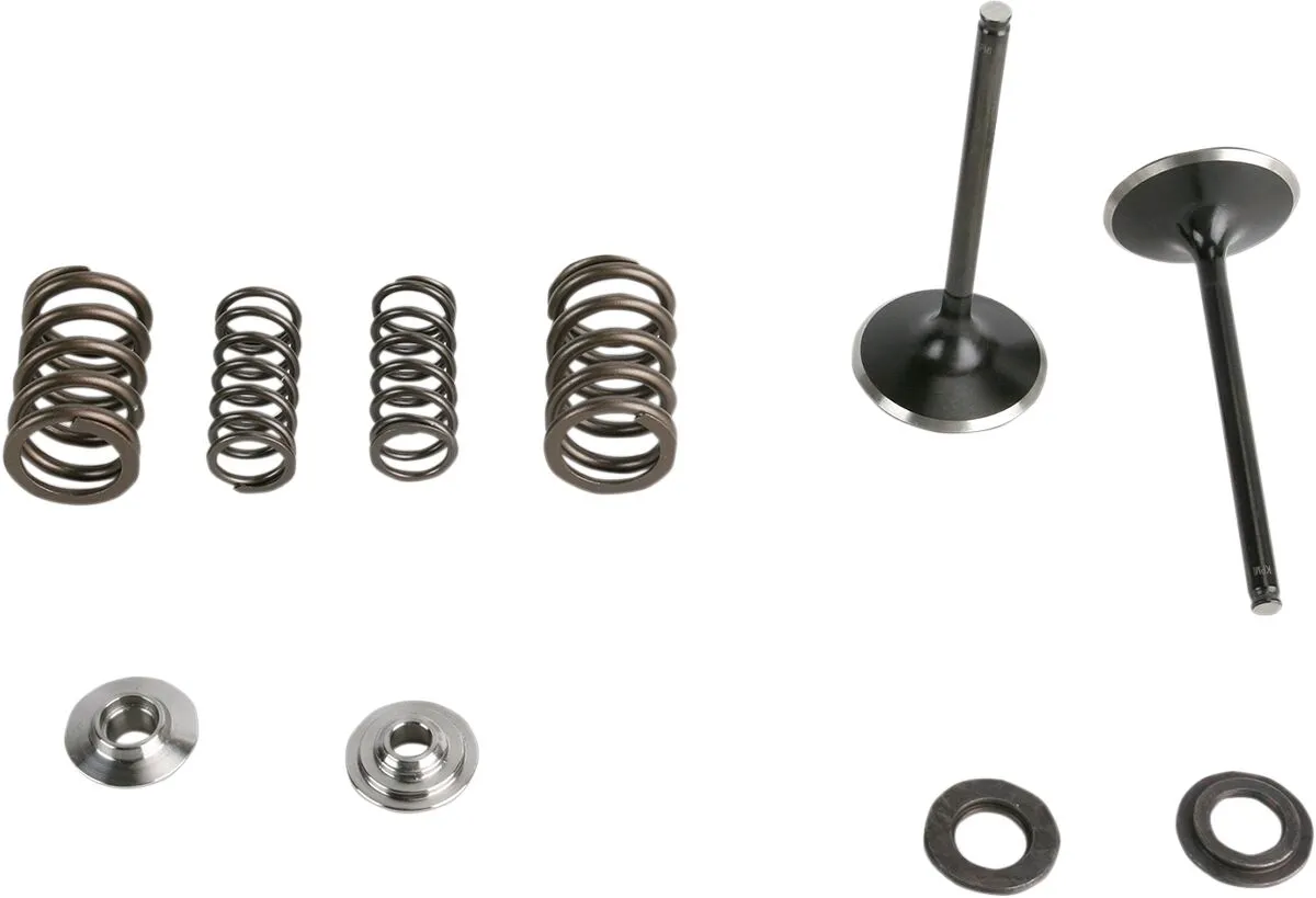 Intake Stainless Conversion Valve and Spring Kit