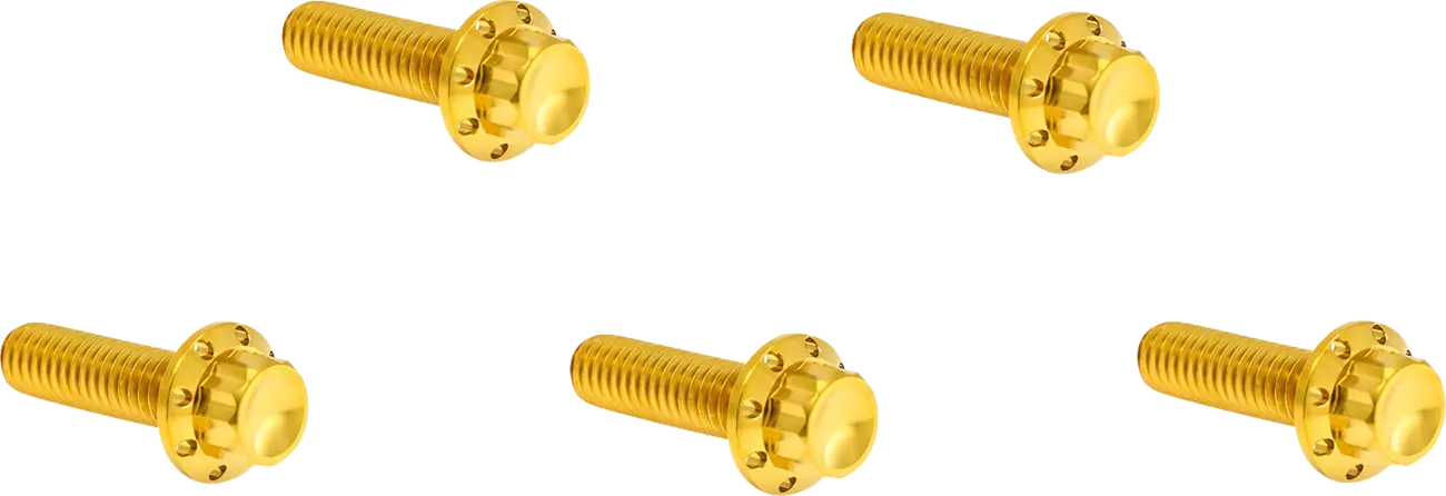Derby Cover Titanium 12-Point Bolt Kit