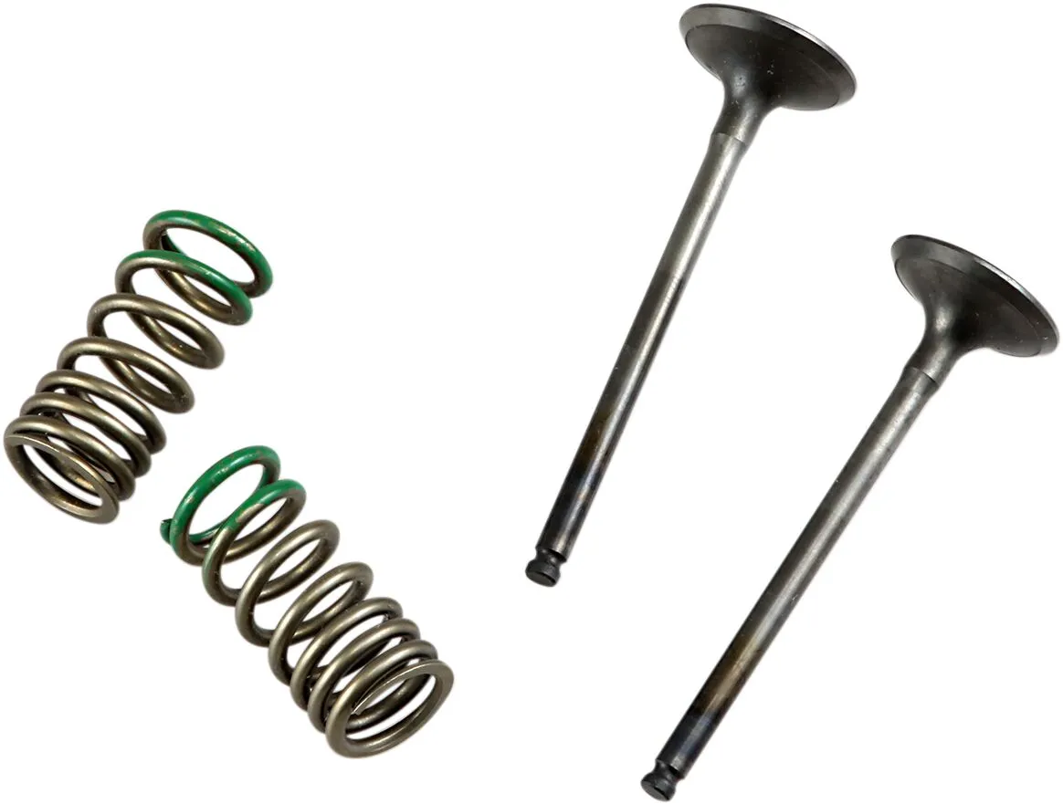 Valve and Spring Kit