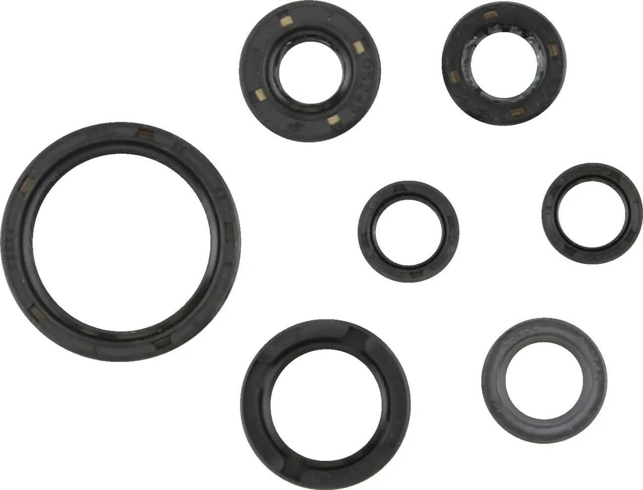 Oil Seal Kit