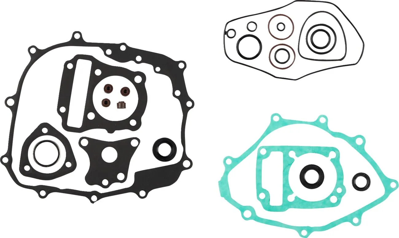 Gasket Kit with Oil Seal