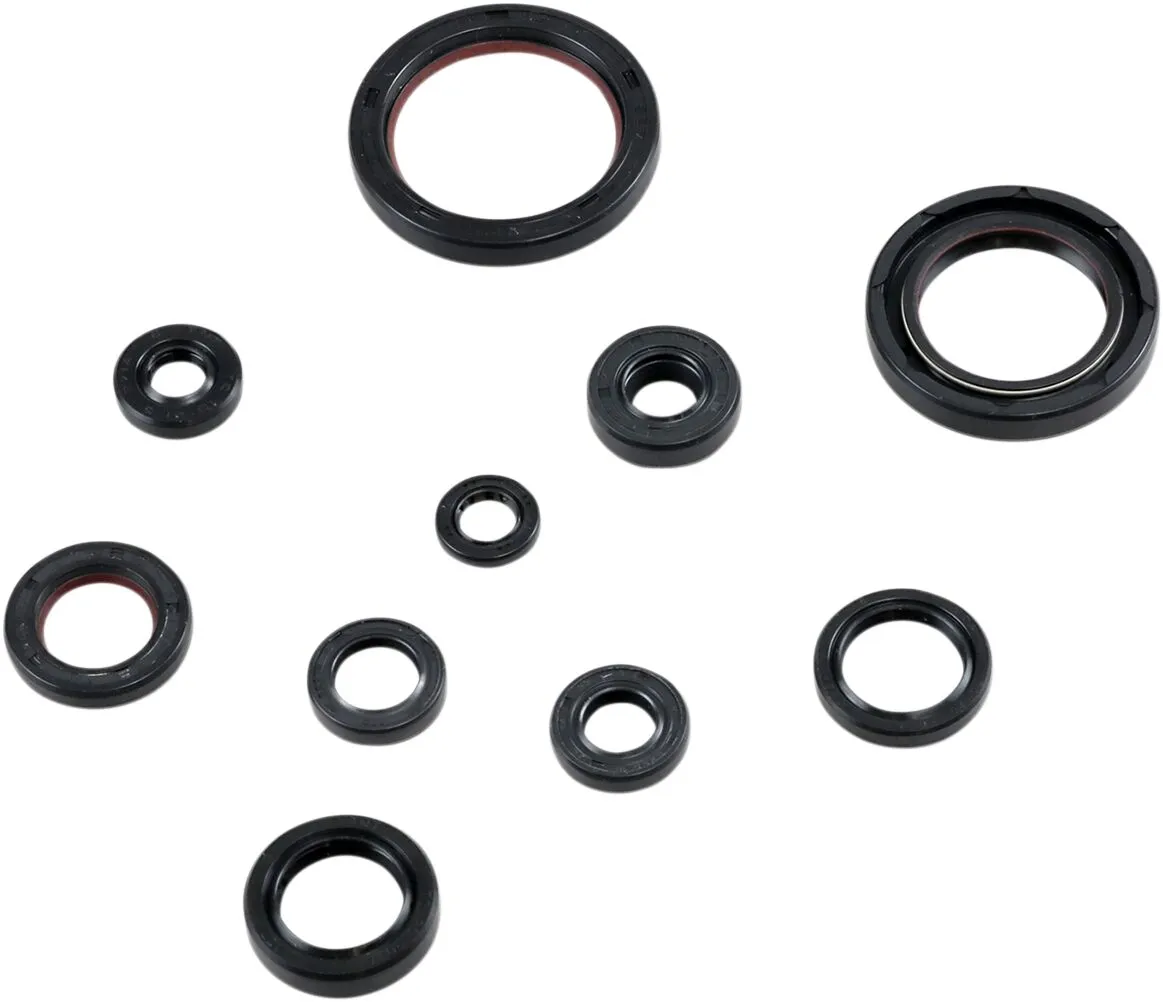 Oil Seal Kit