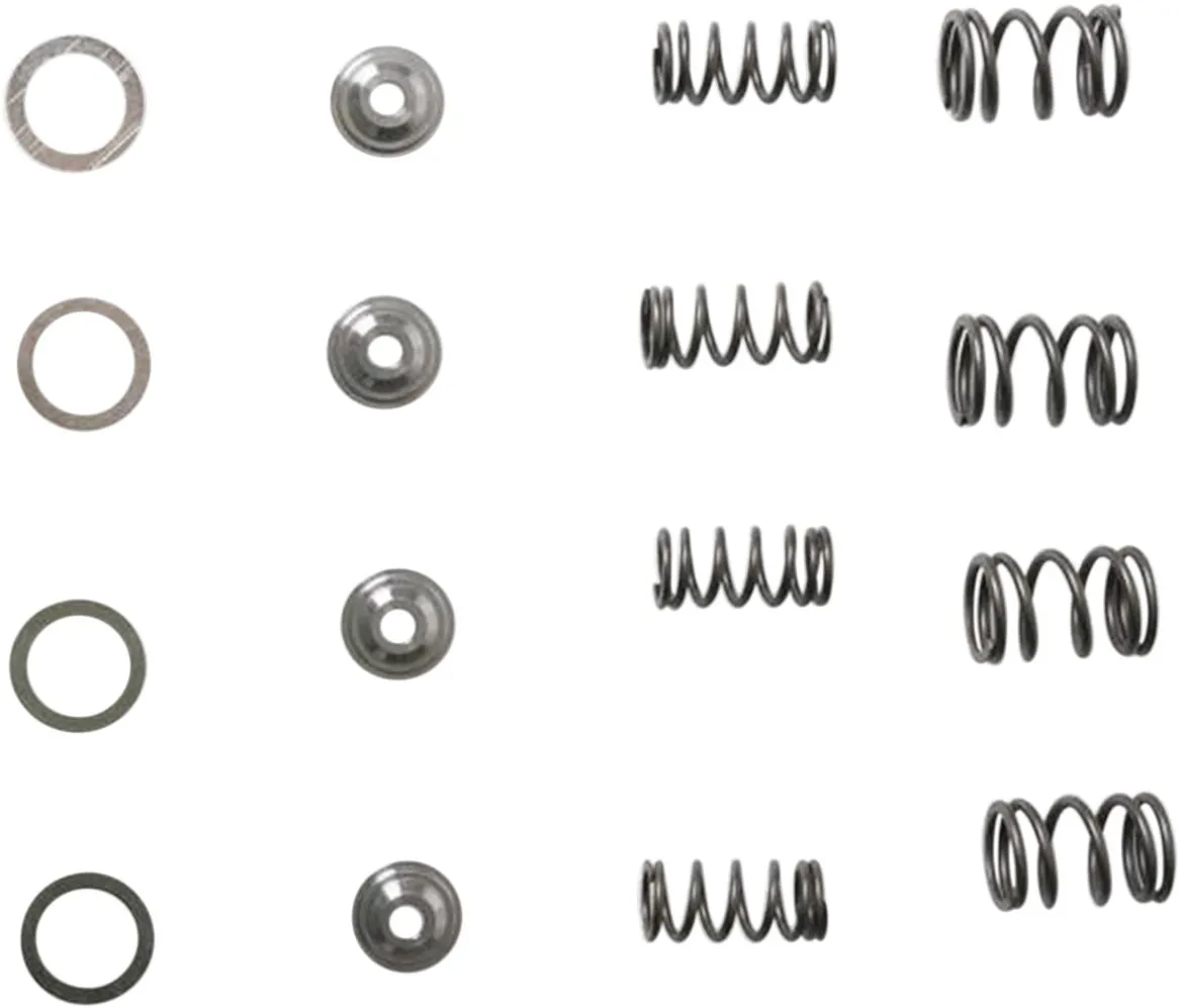 Lightweight Racing Valve Spring Kit