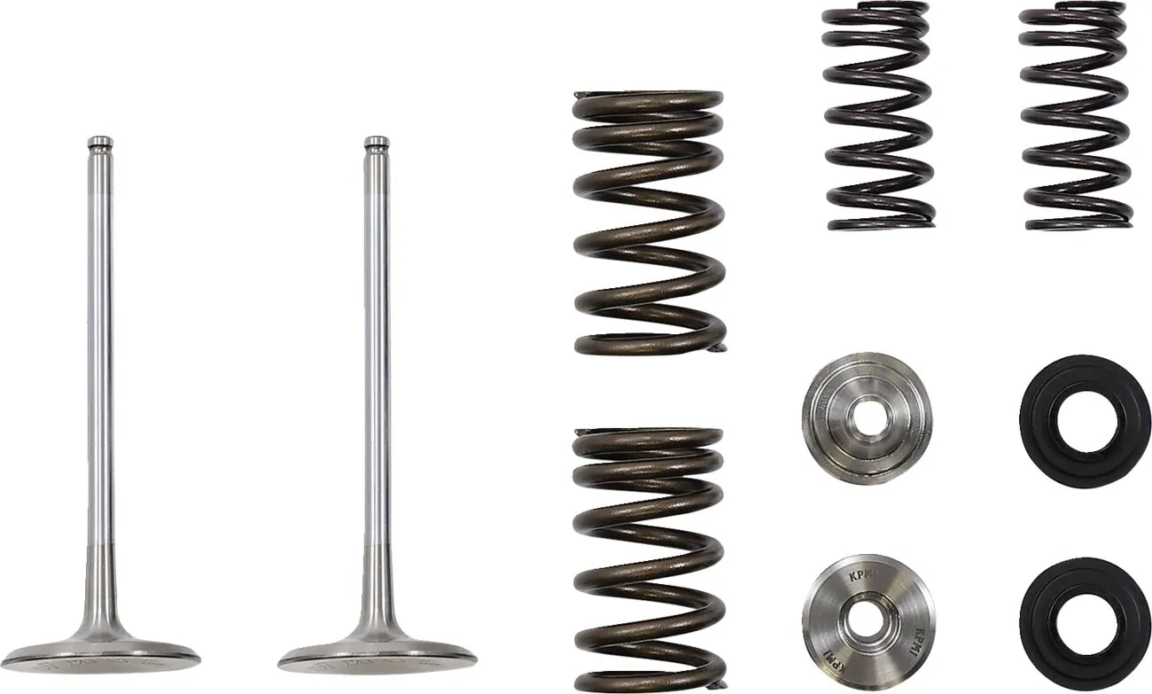 Intake Valve and Spring Kit