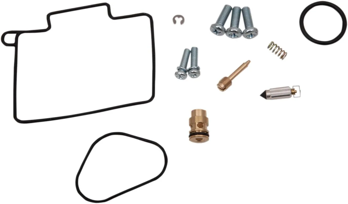Carburetor Repair Kit