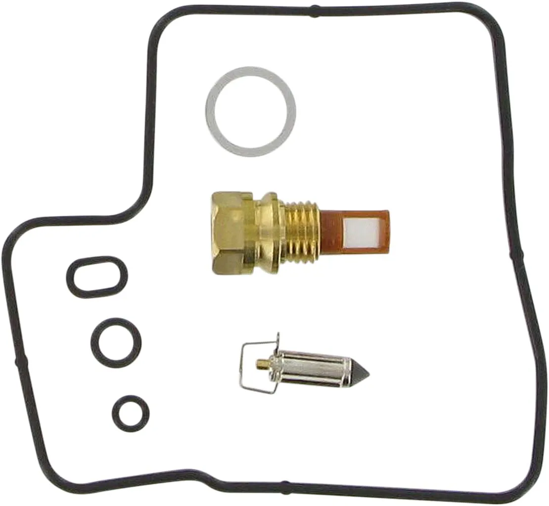 Carburetor Repair Kit