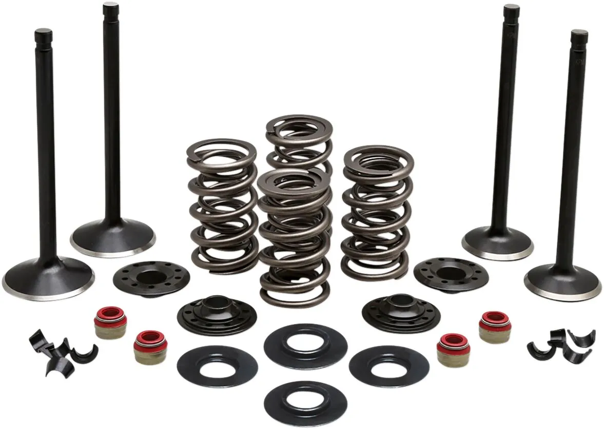 Engine Valve Kit