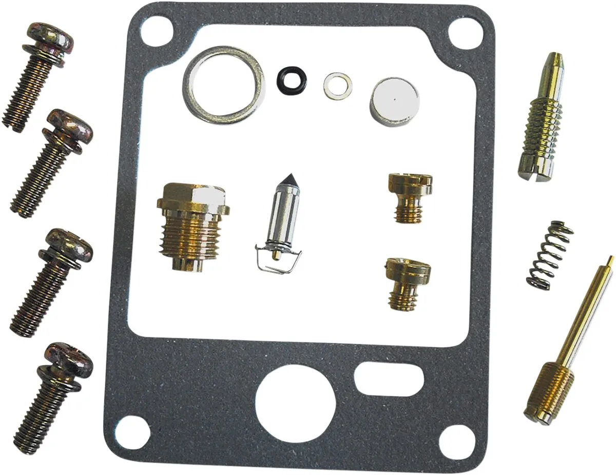 Carburetor Repair Kit