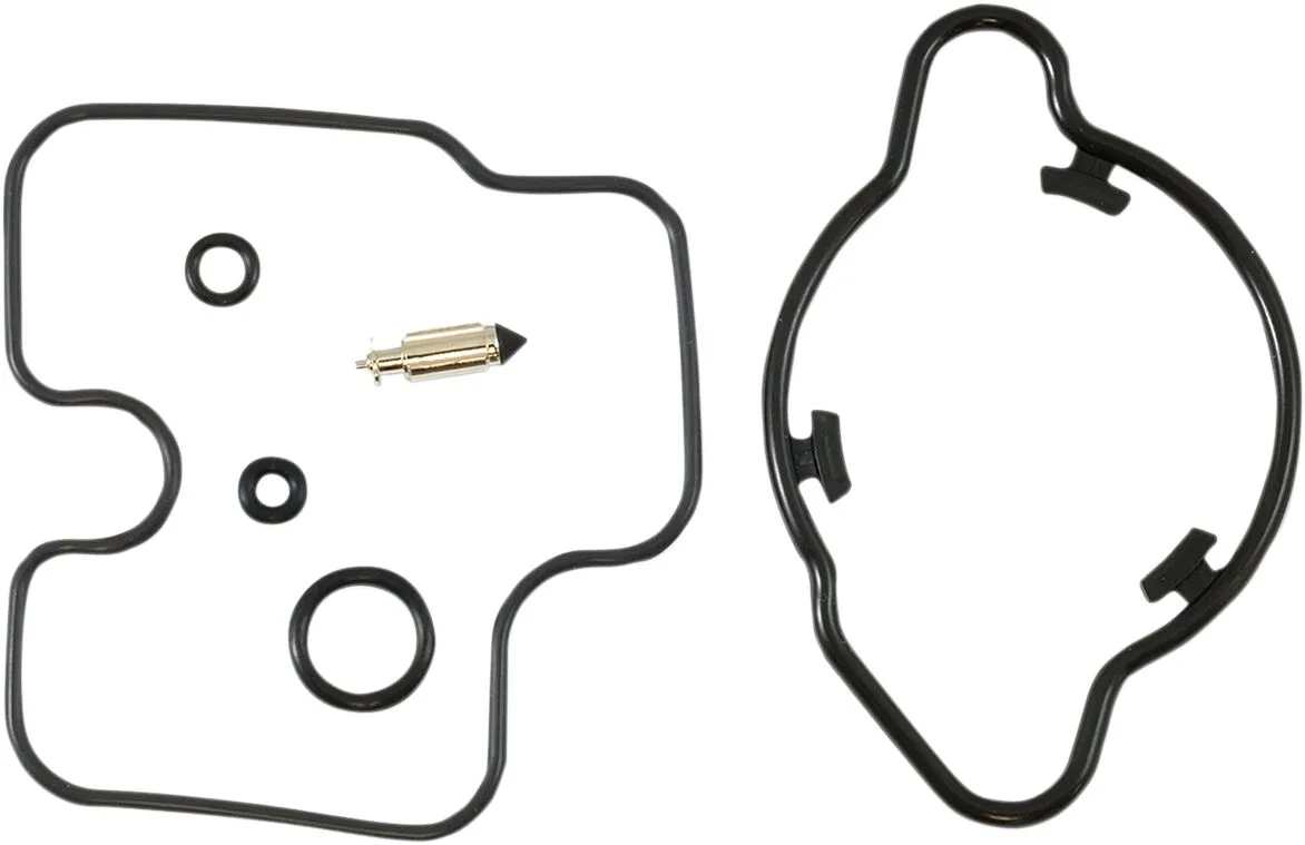 Carburetor Repair Kit