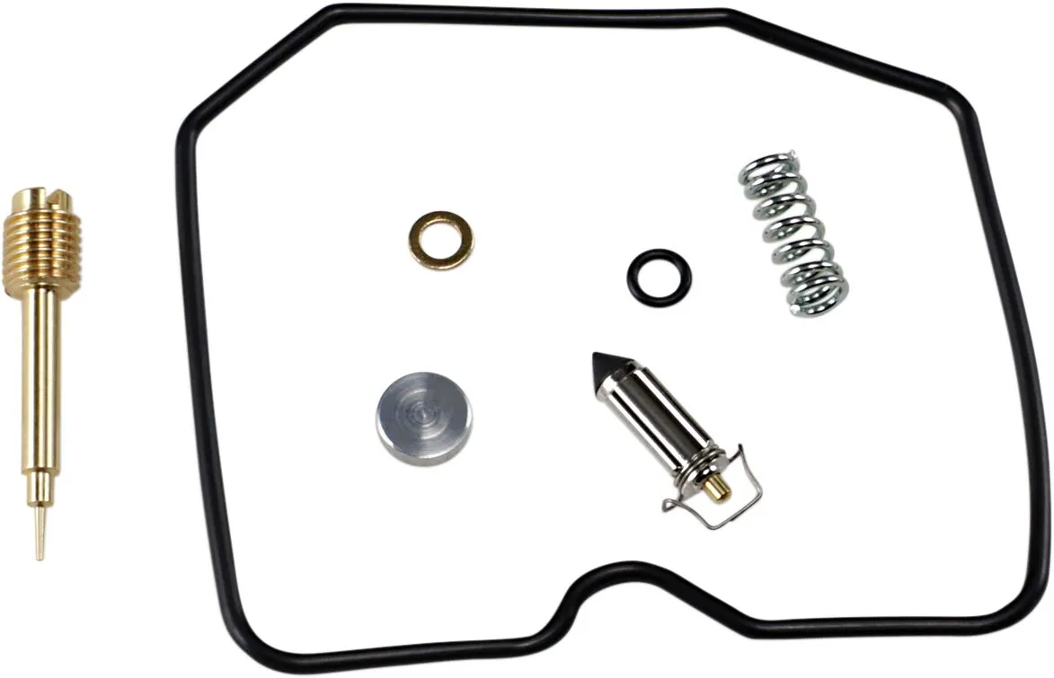 Carburetor Repair Kit