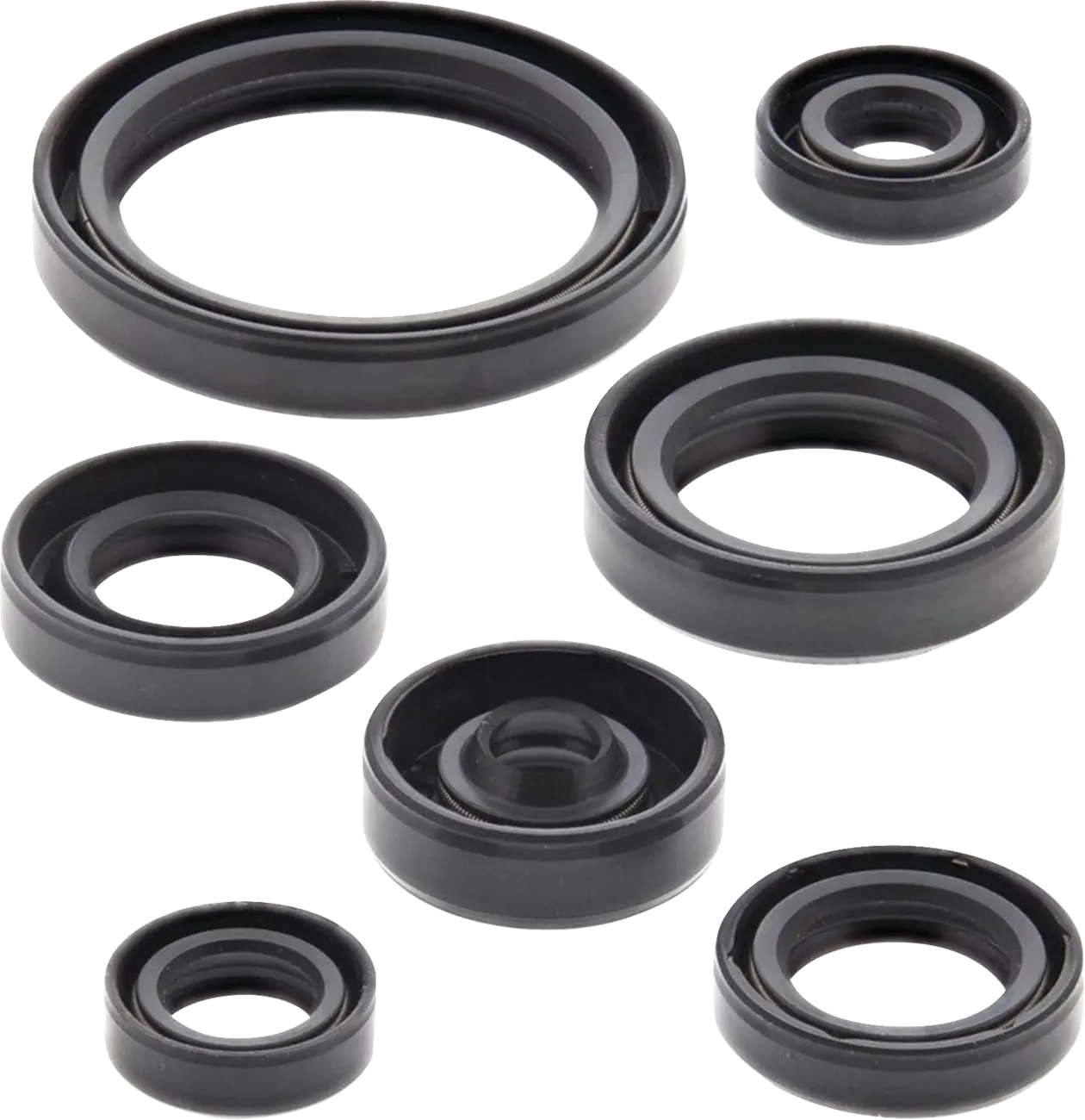 Oil Seal Set