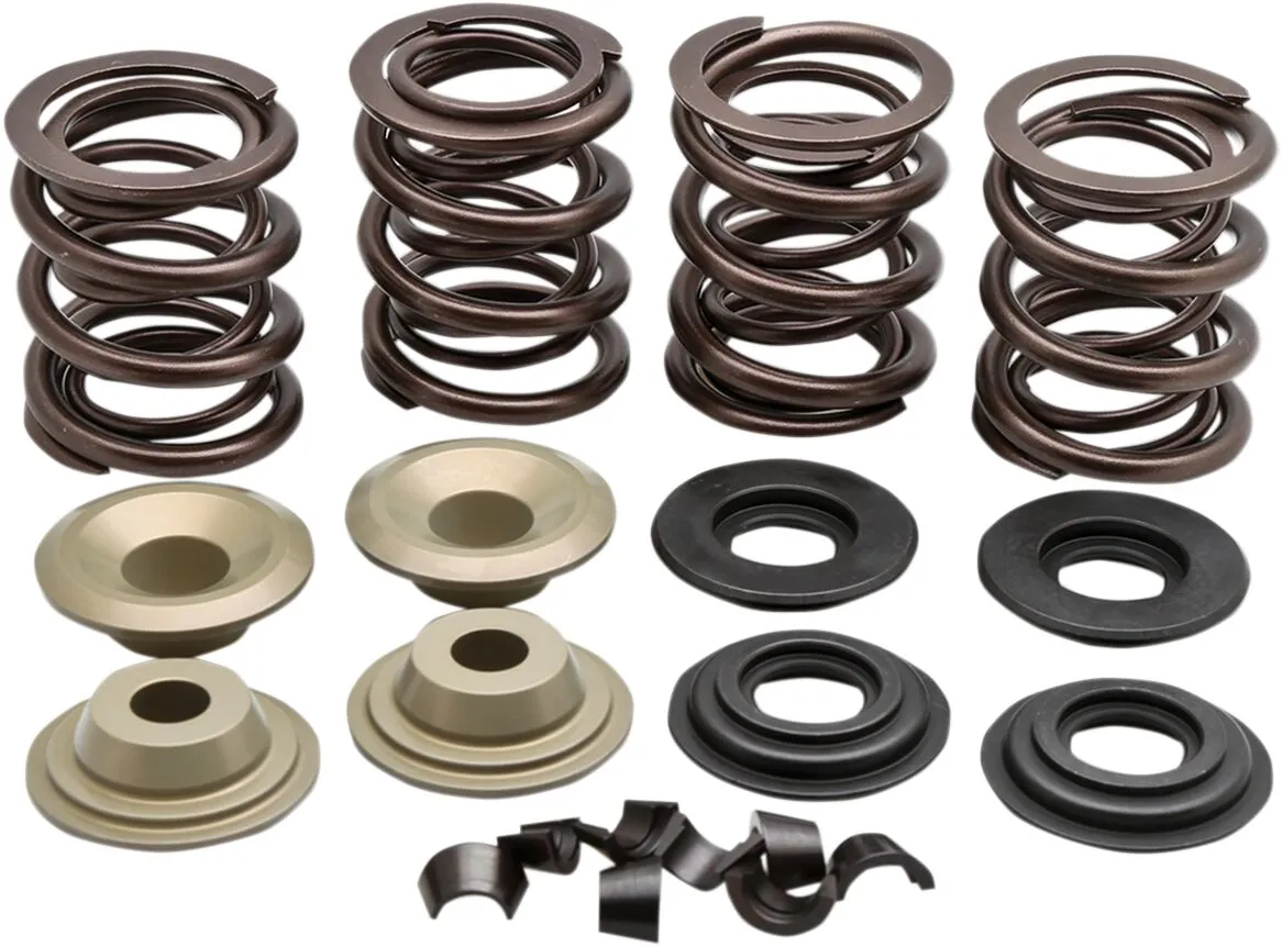 Racing Valve Spring Kit