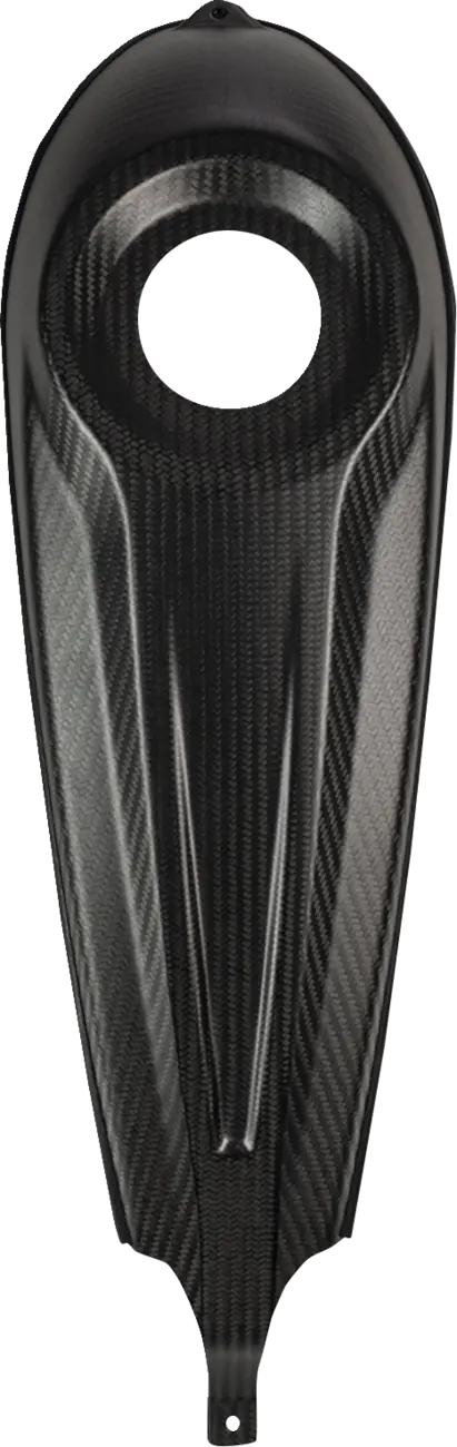 Carbon Fiber Dash Panel For Touring Models