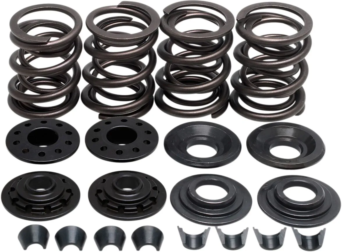 Racing Valve Spring Kit